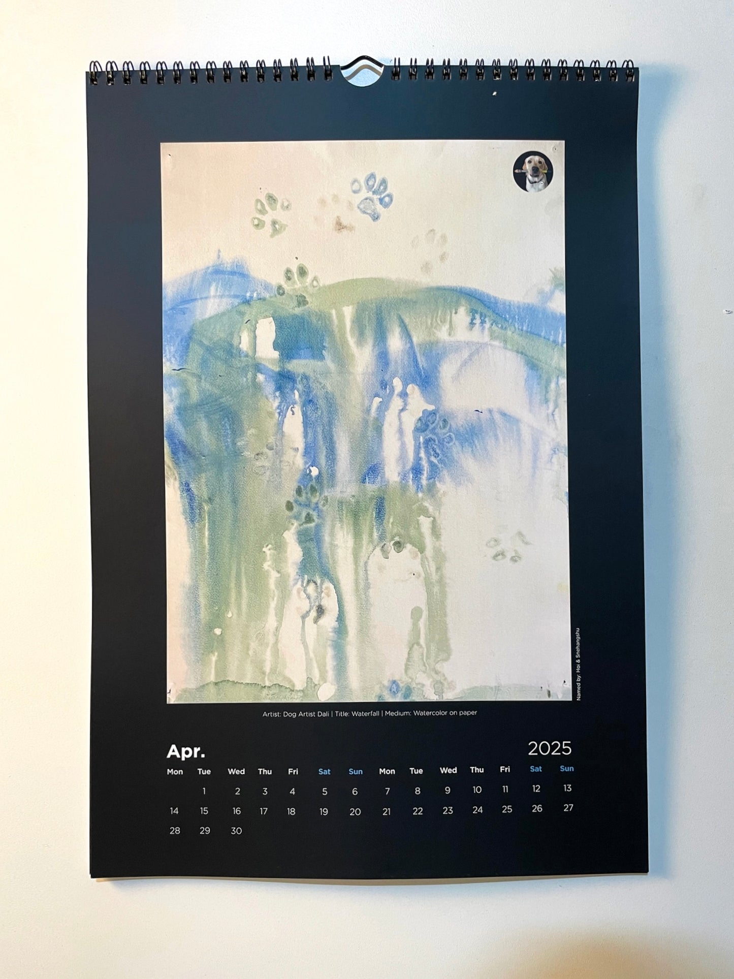 Dali's 2025 Calendar